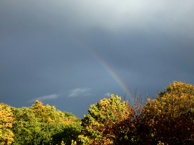 64 Regenbogen 20231024.jpg