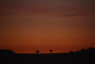 Da wurde ein Baum gefällt :-(