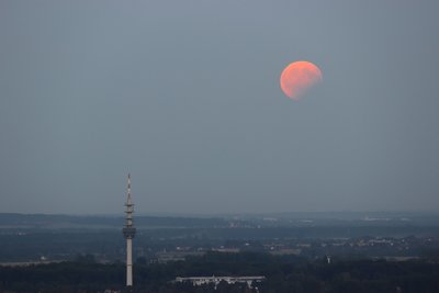 parmofi_2017_08_07_2051.jpg