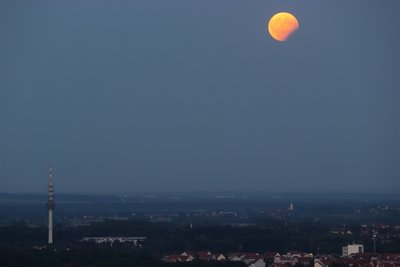 parmofi_2017_08_07_2101.jpg