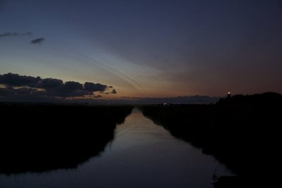 NLC_IMG_2060.jpg