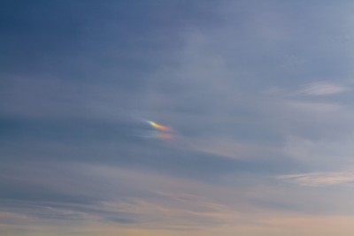 _MG_2830.jpg