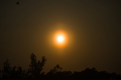 2018_05_12_1953S_IMGP4093_900.jpg