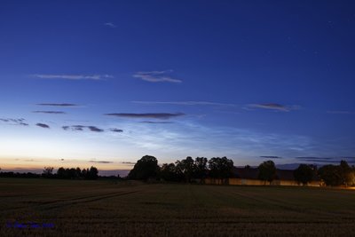 20180622_Haar_NLC_7506809.jpg