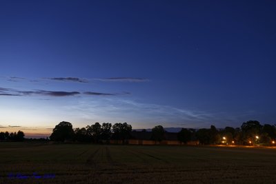 20180622_Haar_NLC_7506786.jpg