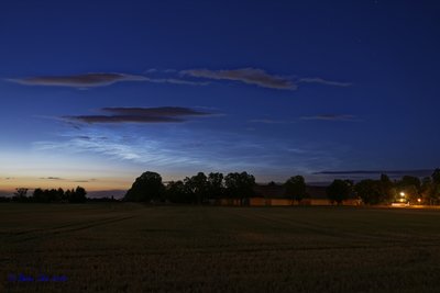 20180622_Haar_NLC_7506821.jpg