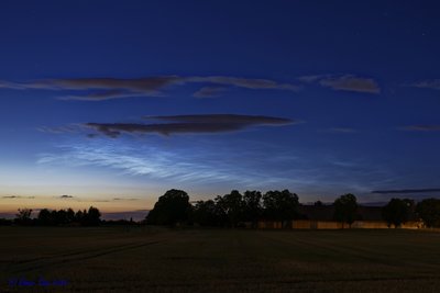 20180622_Haar_NLC_7506833.jpg