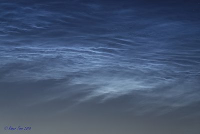 20180622_Haar_NLC_7506838.jpg