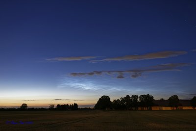 20180622_Haar_NLC_7506848.jpg