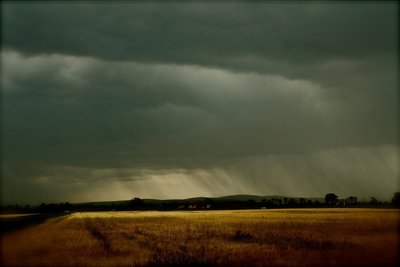 IMG_9835.JPG