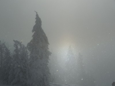 DSCN7293.JPG
