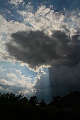 IMG_4028.jpg