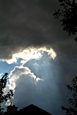 IMG_4024.jpg