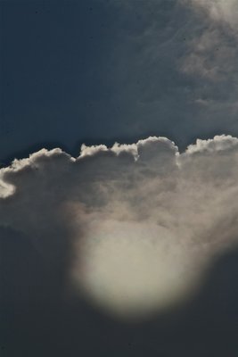 IMG_4047.jpg