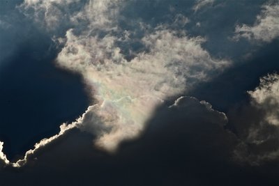 IMG_4052.JPG