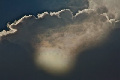 IMG_4048.JPG