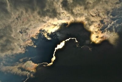 IMG_4063.jpg