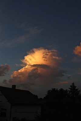 IMG_4245.jpg