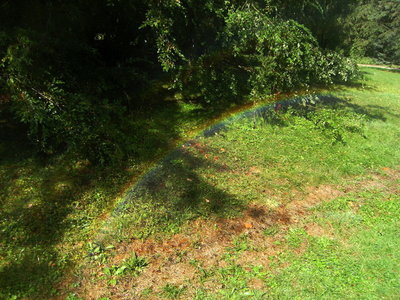 88 Rasensprenger-Regenbogen Botanischer Garten RUB 20180801.jpg