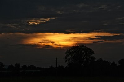 IMG_4638.jpg (118.18 KiB) 29610 mal betrachtet IMG_4638.jpg