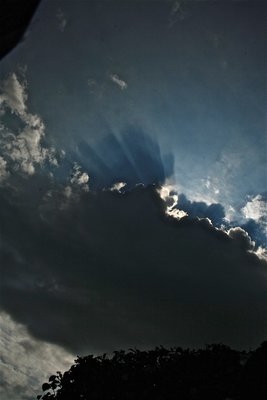 IMG_4921.jpg (72.17 KiB) 29263 mal betrachtet IMG_4921.jpg