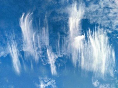 Federwolken in Julianadorp/Nordholland