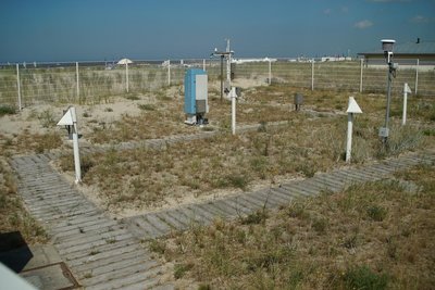 ...ein Blick in den Klimagarten in den Dünen am Strand