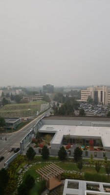IMG-20180820-WA0000.jpg