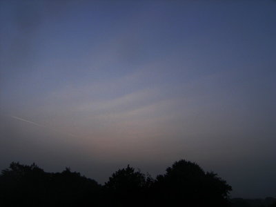 113 Dunststreifen 20180823.jpg