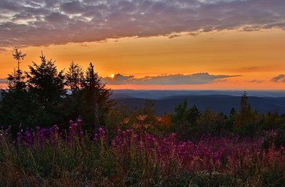 IMG_4135.jpg