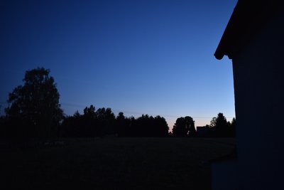 Bei dem großen Baum links und in der Mitte rechts vom Bild