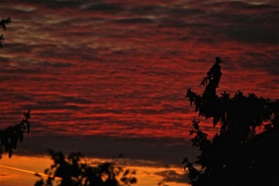 IMG_6253.JPG