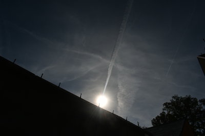 DSC_0407.JPG