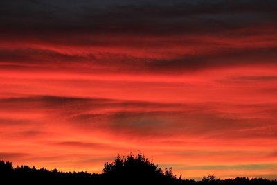 _MG_7852.jpg