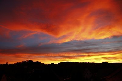 _MG_7828.jpg