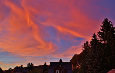 _MG_7825.jpg