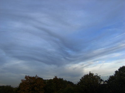 157 Asperatus 20181008a.jpg