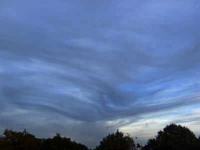 158 Asperatus 20181008b.jpg