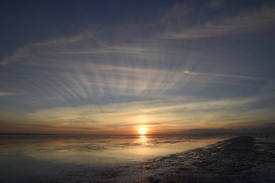 DSC_0152.JPG