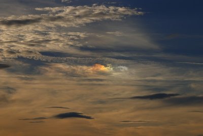 _MG_8556.jpg