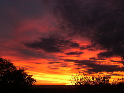 193 Morgenrot CsSc20181106b.jpg