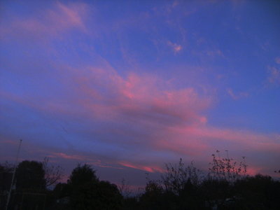 196 GegenabendrotCi 20181106.jpg