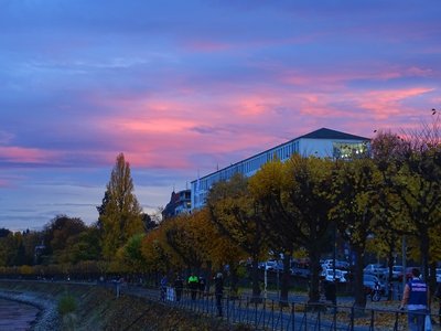 Abendrot und Herbstfarben am Bonner Rheinufer (09.11.2018)