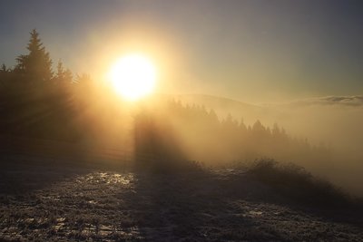 _MG_3362.jpg