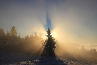 IMG_9623.jpg
