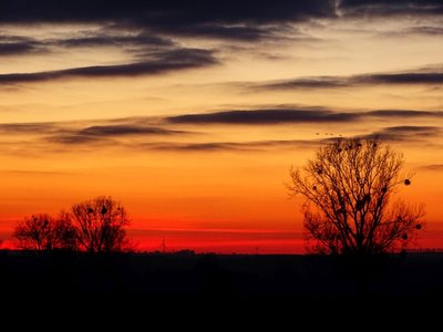 Abendrot im Hessischen Ried bei Leeheim am 25.12.2018 um 17 Uhr.