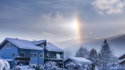 2019 01 11 Rosenzweig-Garmisch Partenkirchen (8).jpg