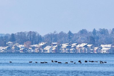 Übersee 04.02.2019 14:41 Uhr