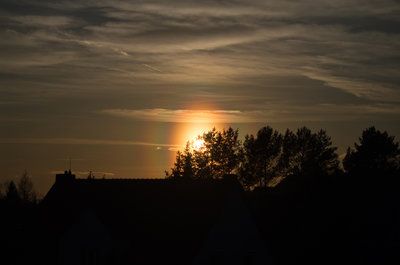 2019_02_22_170434_IMGP9662_1000.jpg