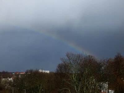 34 Rb1 20190307.jpg